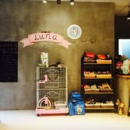 LUNA宠物美容寄养店&猫咪旅馆:上海城区普陀区中山北路/甘泉地区附近