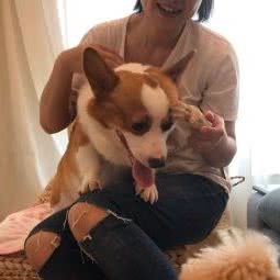 Cookie饼干家宠物寄养家庭:上海城区普陀区中山北路/甘泉地区附近