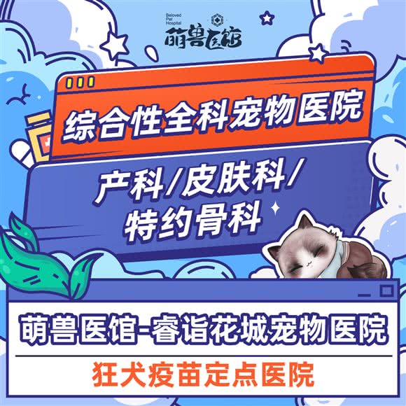 萌兽医馆·睿诣花城宠物医院·狂犬免疫定点·镭射康复诊疗中心:上海城区普陀区中山北路/甘泉地区附近