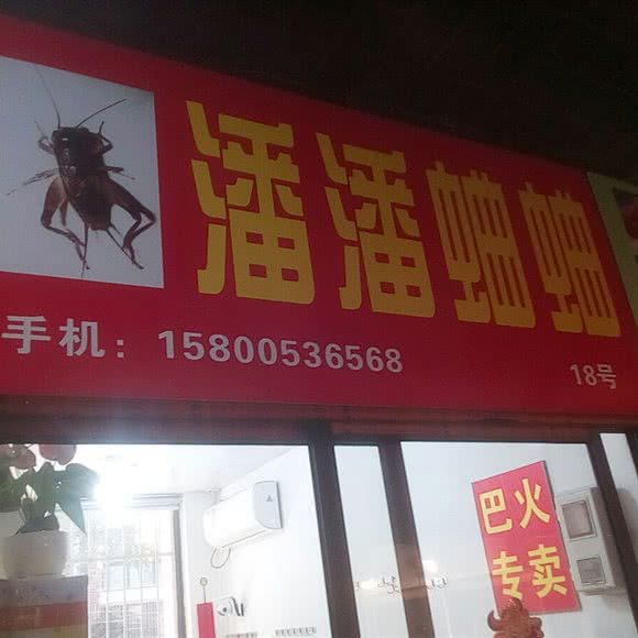 潘潘蛐蛐:上海城区普陀区大华地区附近