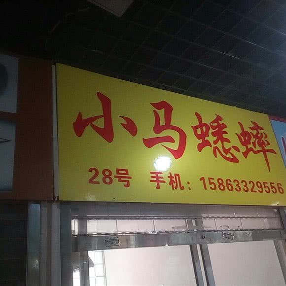 小马蟋蟀:上海城区普陀区大华地区附近