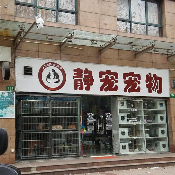 静宠宠物狗:上海城区普陀区大华地区附近