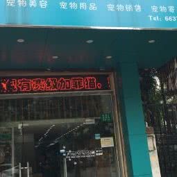雅文宠物美容名店:上海城区普陀区大华地区附近