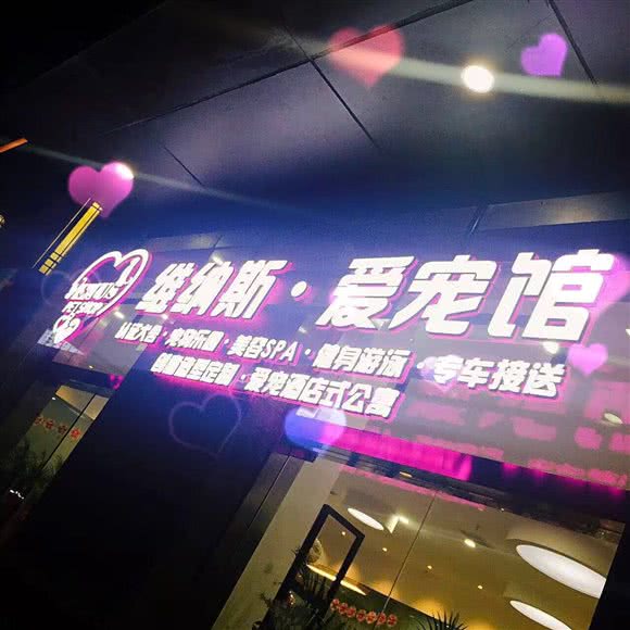 维纳斯·爱宠馆(中环店):上海城区普陀区大华地区附近