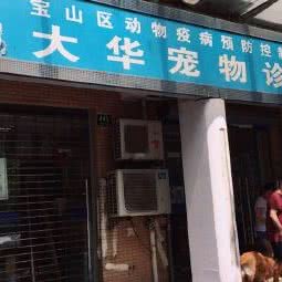 大华宠物诊所(大华三路店):上海城区普陀区大华地区附近