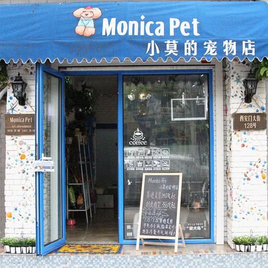 Monica Pet:北京城区西城区西四附近