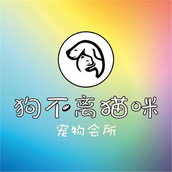 狗不离猫咪宠物会所:上海城区普陀区武宁地区附近