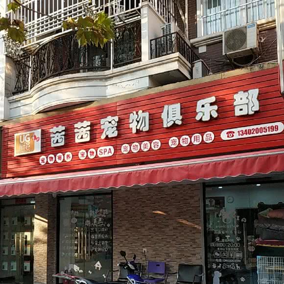 茜茜宠物狗美容:上海城区普陀区武宁地区附近