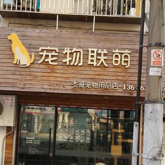 宠物联萌:上海城区普陀区真如附近