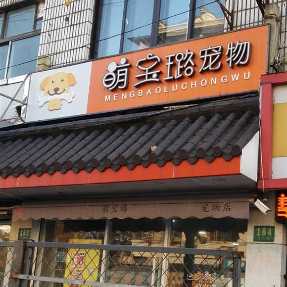 萌宝璐:上海城区普陀区真如附近