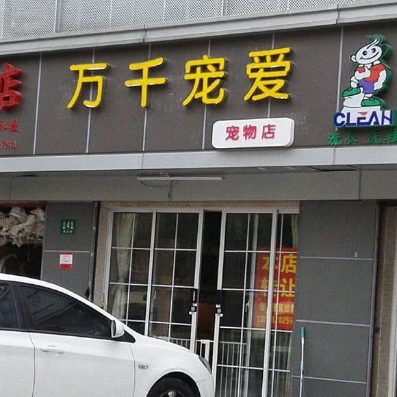 万千宠爱宠物店:上海城区普陀区真如附近