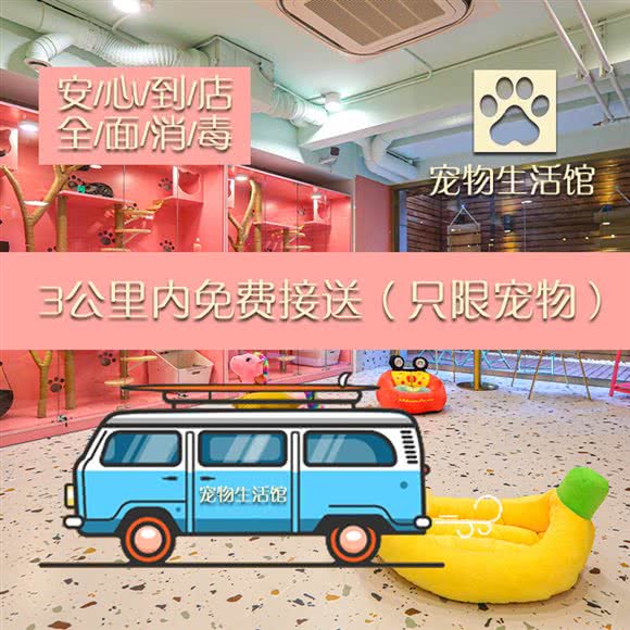 如雅宠物生活馆·猫咖·茶饮(普陀店):上海城区普陀区真如附近