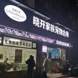 晓开宠物家族:上海城区普陀区桃浦附近