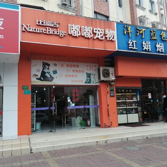 比瑞吉嘟嘟宠物:上海城区普陀区桃浦附近