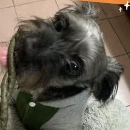 PET LOVE宠物超市(普陀店):上海城区普陀区桃浦附近