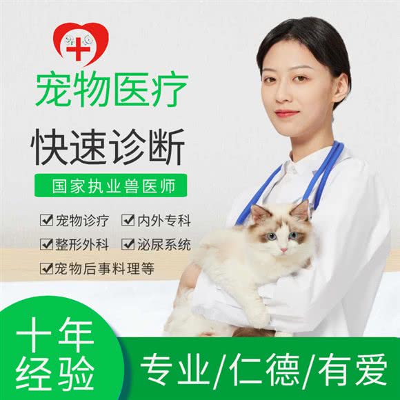 轩齐宠物医院:上海城区普陀区桃浦附近