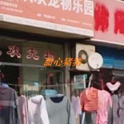 欢欢宠物乐园:上海城区虹口区临平路/和平公园附近