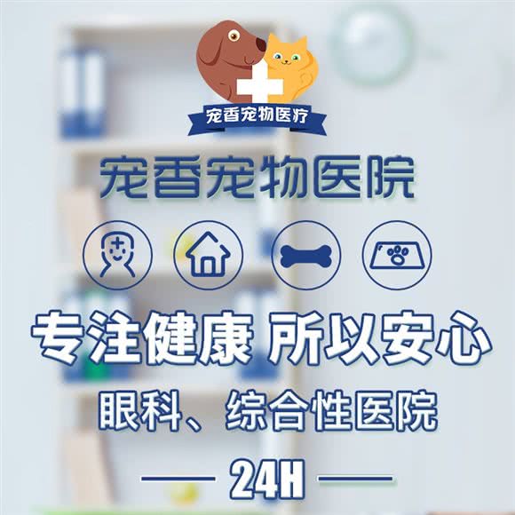 守诺宠物医院骨科·眼科专科医院:上海城区虹口区虹口足球场/鲁迅公园附近