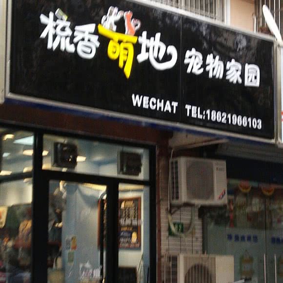 梳香萌地宠物家园:上海城区虹口区凉城/江湾镇附近