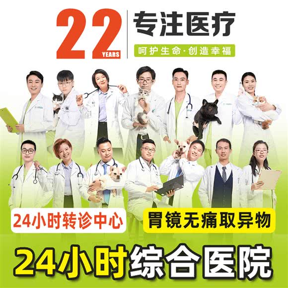 艾吉宠物医院(24小时宠物医院总店):上海城区虹口区凉城/江湾镇附近