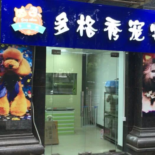 多格秀狗狗:上海城区虹口区海宁路/七浦路附近