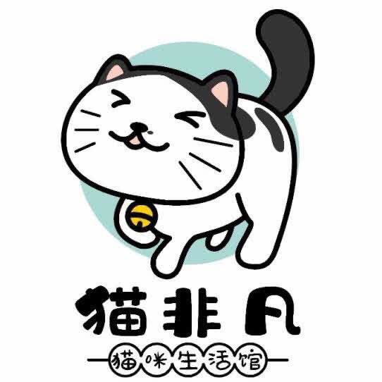 猫非凡猫咪生活馆·赛级洗护·猫舍:上海城区杨浦区五角场/大学区附近