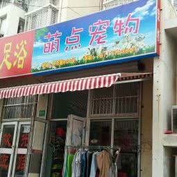 萌点宠物:上海城区杨浦区五角场/大学区附近