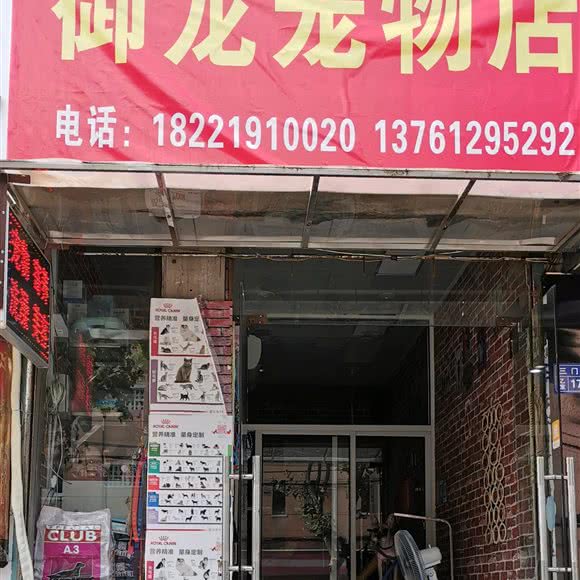 御龙宠物店:上海城区杨浦区五角场/大学区附近