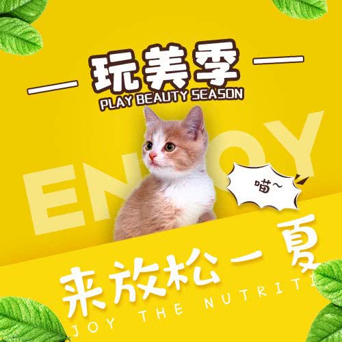 ENJOY喵日常生活:上海城区杨浦区五角场/大学区附近