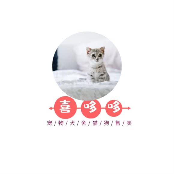 嘻哆哆? 猫狗专卖(杨浦店):上海城区杨浦区五角场/大学区附近