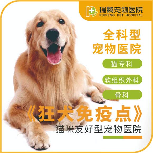 瑞鹏宠物医院狂犬免疫点(政芳路分院):上海城区杨浦区五角场/大学区附近