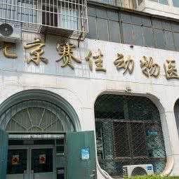 北京赛佳动物医院:北京城区海淀区航天桥附近
