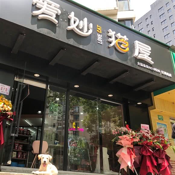爱妙猫屋专业宠物洗护寄养(江浦路店):上海城区杨浦区控江地区附近