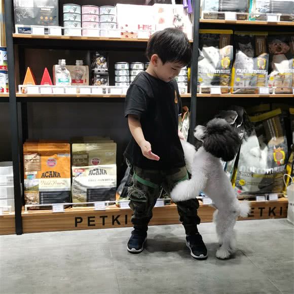 PETKIT小佩宠物(周家嘴路店):上海城区杨浦区控江地区附近