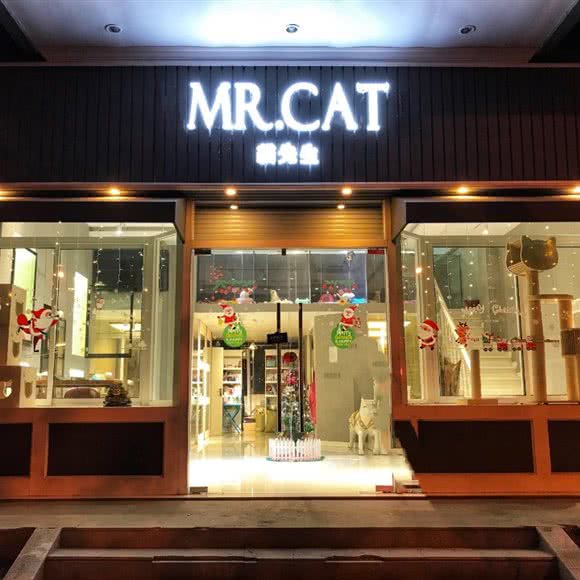 MR·CAT猫先生:上海城区杨浦区控江地区附近