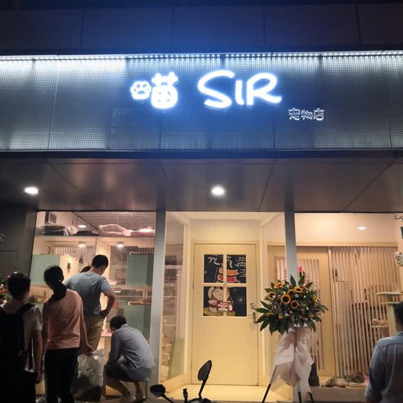 喵SIR宠物店:上海城区杨浦区控江地区附近