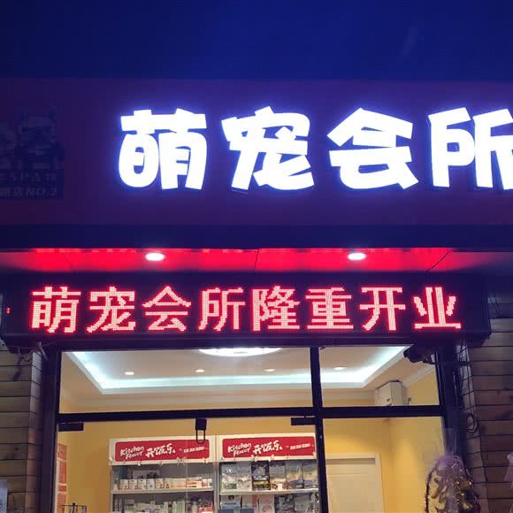 萌宠会所:上海城区杨浦区控江地区附近