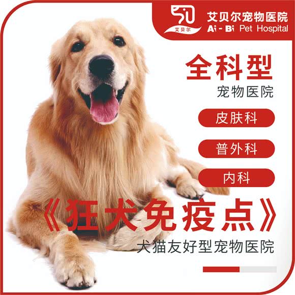艾贝尔宠物医院(周家嘴路店):上海城区杨浦区控江地区附近