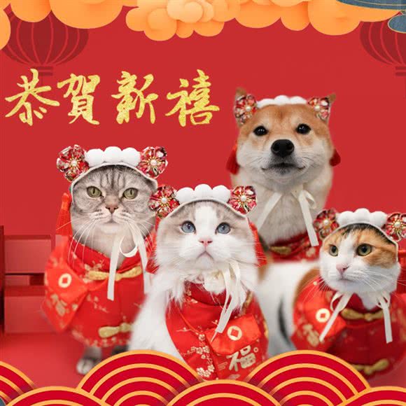 上海悦乐宠物医院·骨科·外科·内窥镜:上海城区杨浦区平凉路/东外滩附近