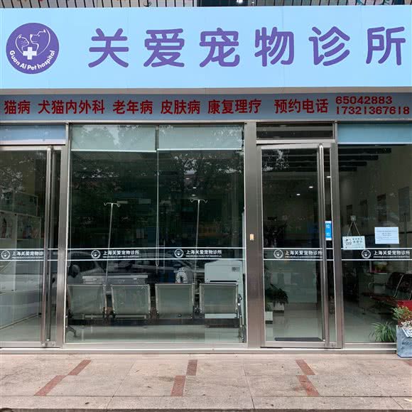 关爱狗狗诊所:上海城区杨浦区平凉路/东外滩附近