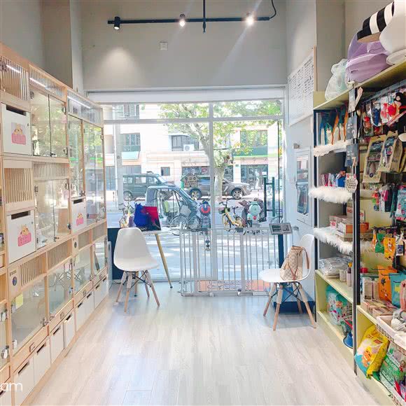 柒月宠它 精品萌宠馆(杨浦店):上海城区杨浦区黄兴公园附近