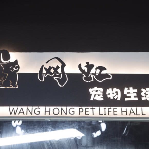 网虹宠物生活馆:上海城区杨浦区黄兴公园附近