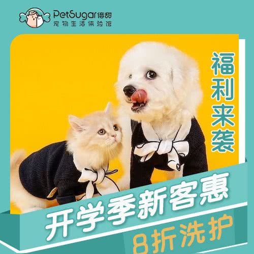 PetSugar倍甜宠物生活馆(宝龙旭辉广场店):上海城区杨浦区黄兴公园附近