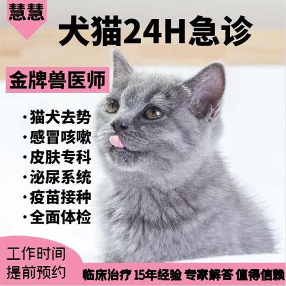 慧慧宠物诊所:上海城区杨浦区黄兴公园附近
