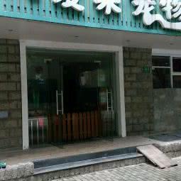 爱朵宠物狗:上海城区闵行区龙柏地区附近