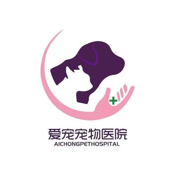 爱宠宠物医院·普外康复中心:上海城区闵行区虹桥镇附近
