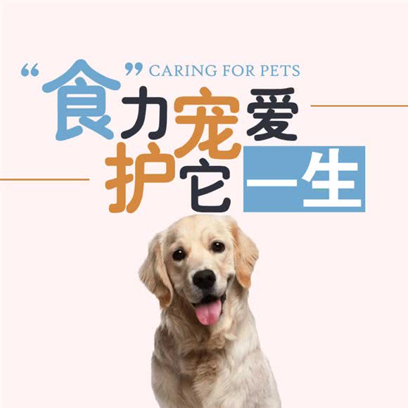 PETKIT小佩宠物(龙茗二店):上海城区闵行区虹桥镇附近
