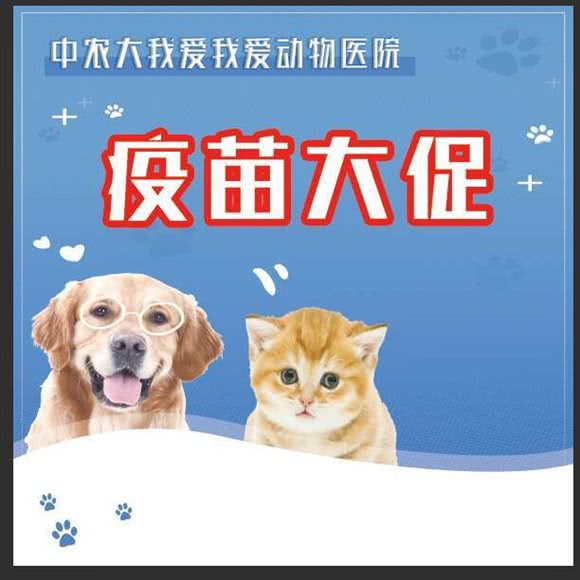 中农大我爱我爱动物医院(牡丹园分院):北京城区海淀区牡丹园/北太平庄附近