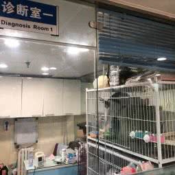 恋人同行动物医院:北京城区海淀区牡丹园/北太平庄附近