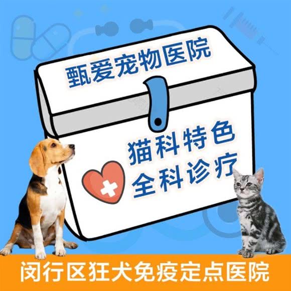 甄爱宠物医院:上海城区闵行区莘庄附近